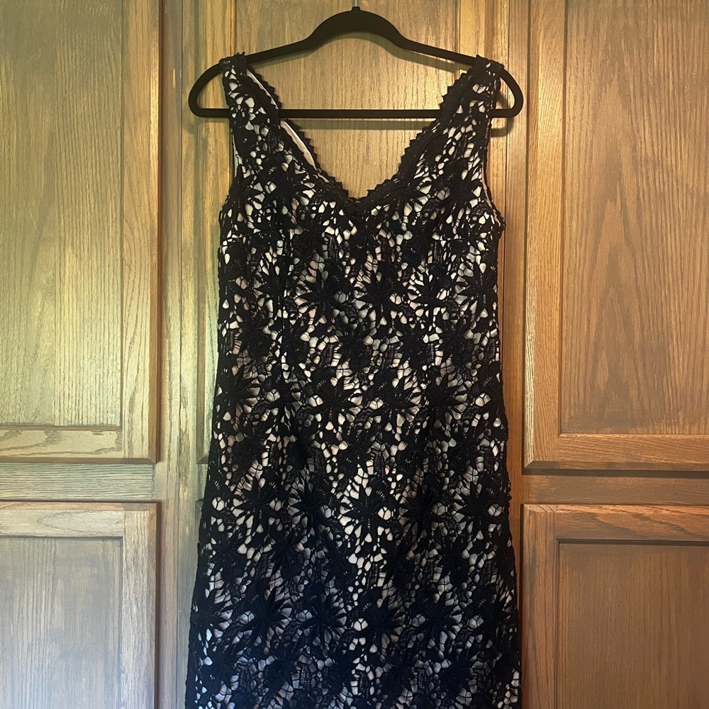 Ann Taylor Black and Cream Lace Midi Dress